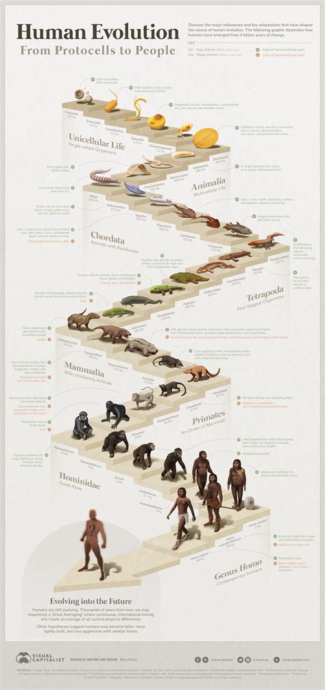 Evolution Guide .